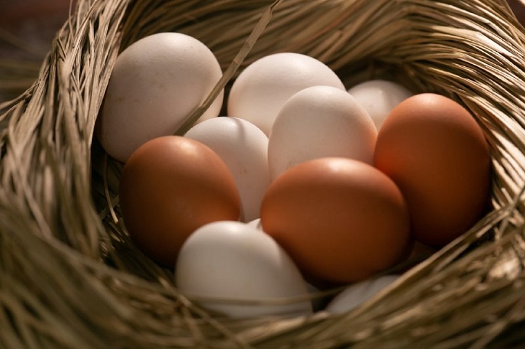 В Тюменской области экспорт пищевых продуктов превышает импорт в 3,6 раза