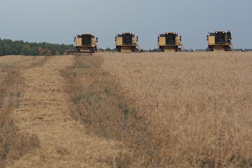 Лидер в УрФО: в Тюменской области подвели итоги урожая-2023