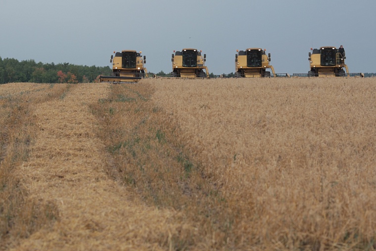 Лидер в УрФО: в Тюменской области подвели итоги урожая-2023
