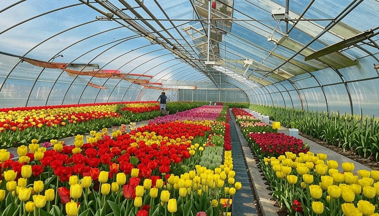 Картинка сгенерирована ИИ