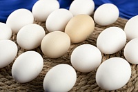 Перед Пасхой в Тюмени выросли цены на яйца