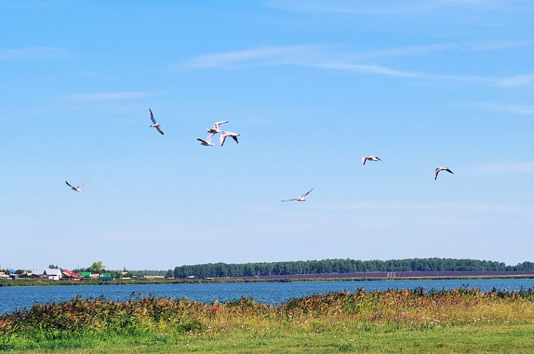Грант «Тюменнефтегаза» поможет сохранить Солёное озеро