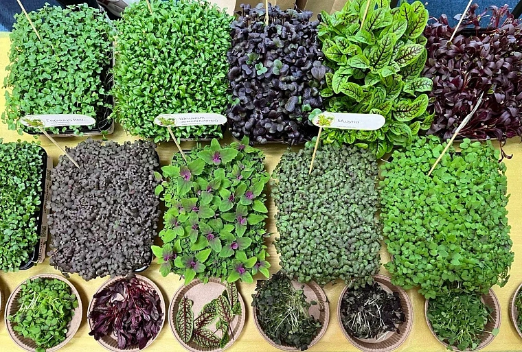 Проект «Покупай тюменское» организовал встречу федеральной торговой сети «Магнит» и местных товаропроизводителей