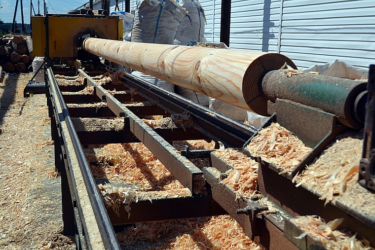 От брёвен до варенья: как тюменские стартапы получают деньги от государства