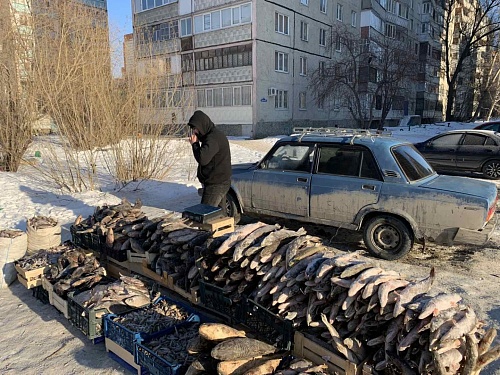 В Тюмени у уличных торговцев изымают рыбу