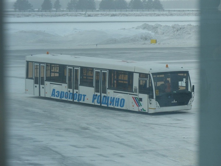 В аэропорту Рощино смонтированы 4 телетрапа