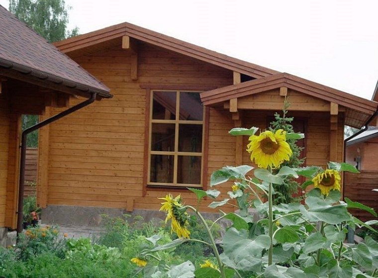 Андрей Саносян успокоил недовольных дачников