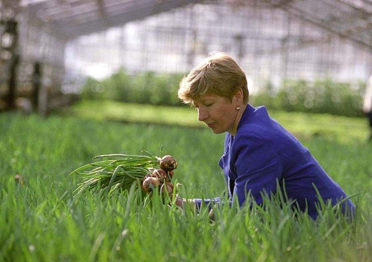 Лучшие работники АПК, торговли и сферы услуг получили заслуженные награды