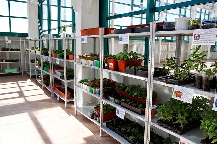 Владимир Якушев: Мы возлагаем серьезные надежды на тюменский лесотехникум