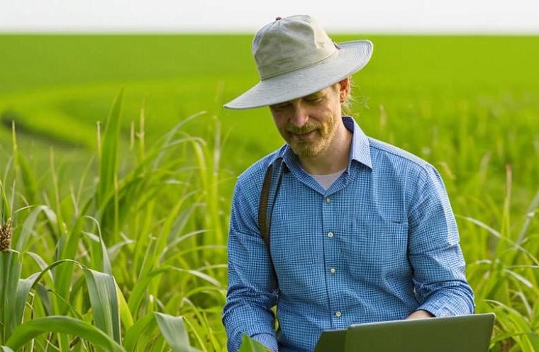 В Тюменской области овощевод сможет заработать до 150 тысяч рублей в месяц