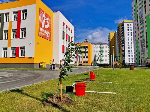 Сразу две компании подали жалобы в ФАС из-за ремонта школы в Тобольске на 422 миллиона