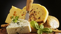 В регионе хотят производить сыр по итальянской рецептуре