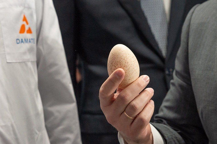 Александр Моор об открытии племенного репродуктора индейки: Экономия - миллионы евро