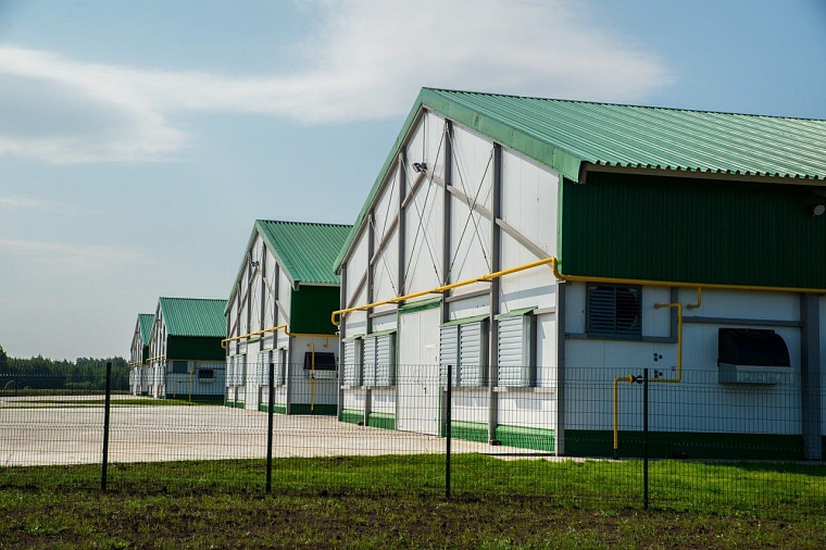 Александр Моор об открытии племенного репродуктора индейки: Экономия - миллионы евро