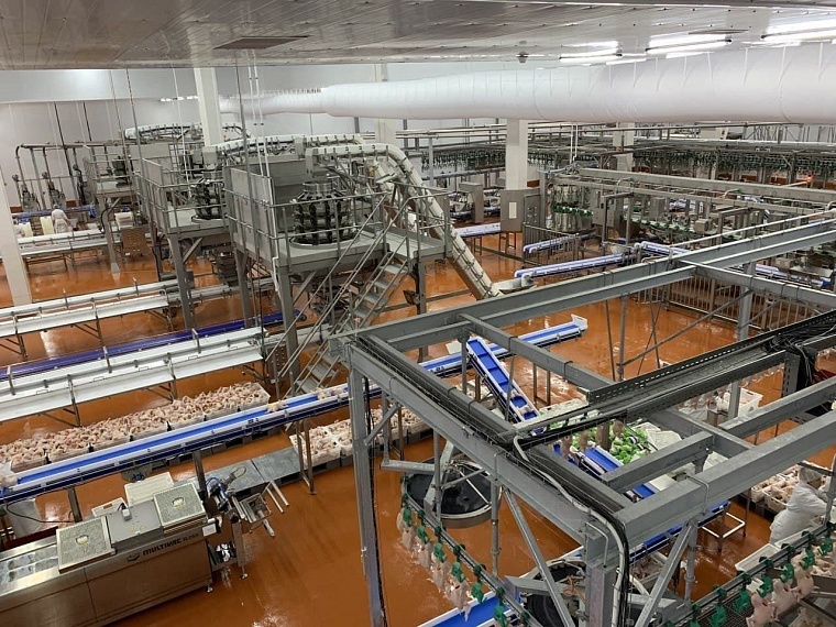 МТС обеспечили высокоскоростным интернетом птицефабрику в Голышманово