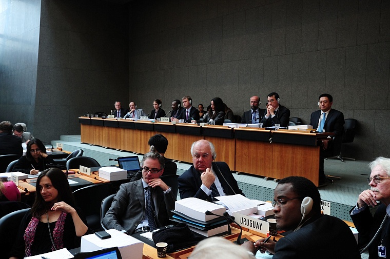 ВТО: тюменцы узнали, когда «медовый месяц» спору не помеха