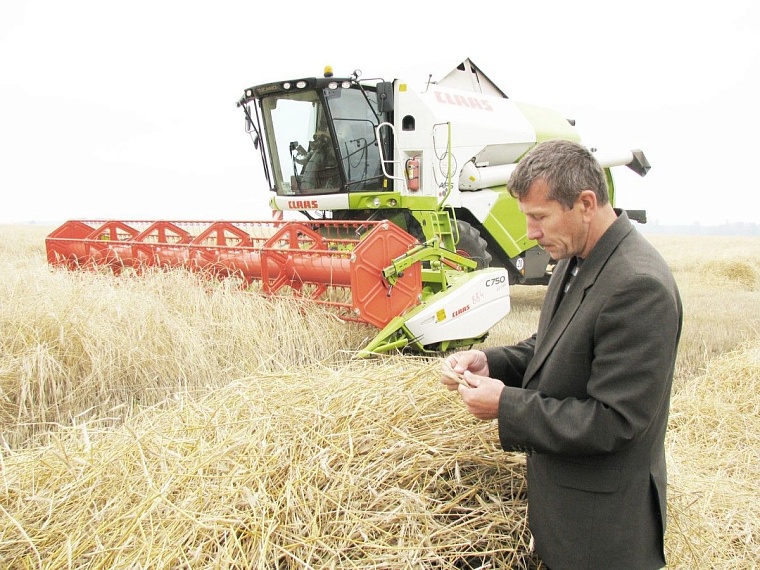 Тюменским аграриям не хватает информации об инновациях в АПК