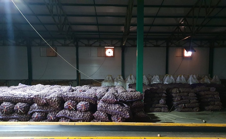 Фермеры из Голышманово автоматизируют упаковку продукции благодаря заемным средствам