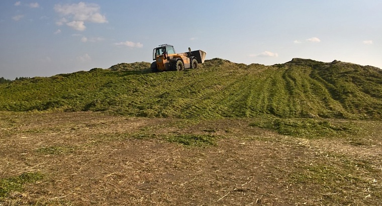 Тюменские власти в 2022 году продадут совхоз «Червишевский» и «Биотэкс-групп»