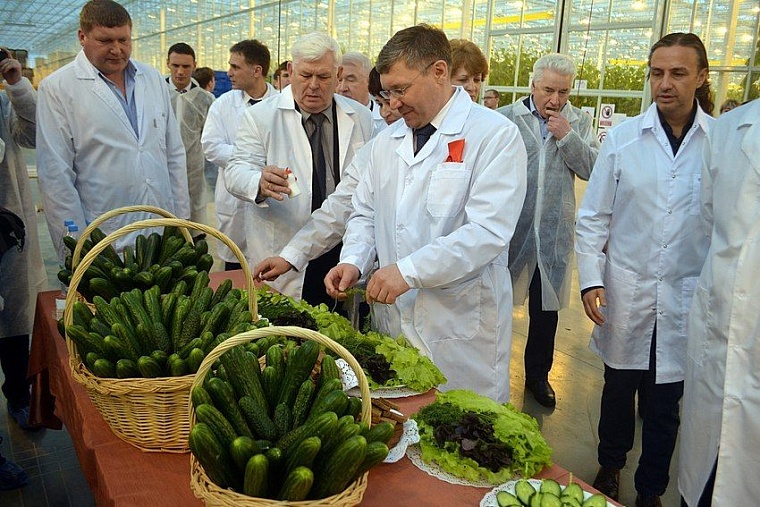 Экономические итоги-2016: Миллион тонн полипропилена, инвестпарки и второй «Ашан»