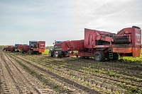 В Тюменском районе завершается уборка урожая