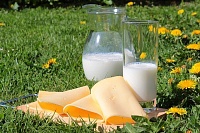 Тюменское УФАС предостерегло предприятие, которое собиралось повысить цены на молоко