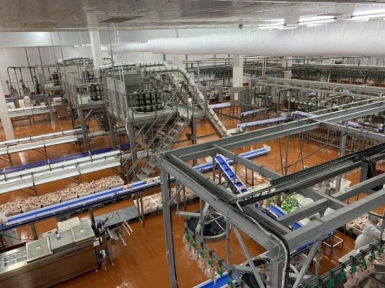 Огурцы, пластик, осетр: какие инвестпроекты реализовали в Тюменской области за последние пять лет