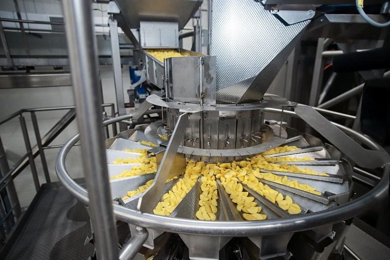 Огурцы, пластик, осетр: какие инвестпроекты реализовали в Тюменской области за последние пять лет