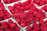 Жителям Тюменского района помогут развить ягодный бизнес