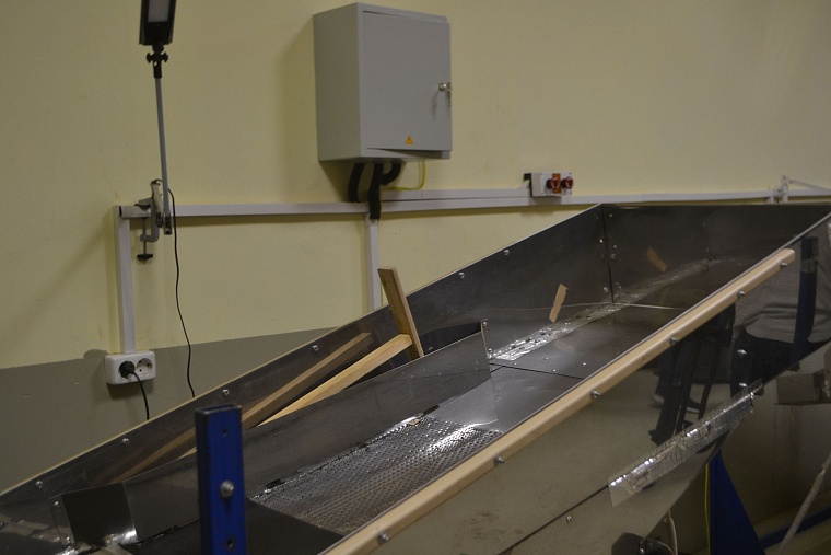 «Тюменская осень»: иван-чай вкуснее и полезнее обычного