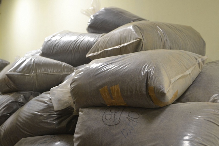 «Тюменская осень»: иван-чай вкуснее и полезнее обычного