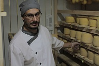 «Тюменская осень»: гостей фестиваля призывают не бояться сыра с плесенью