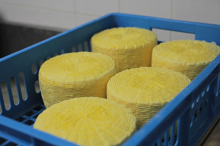 «Тюменская осень»: гостей фестиваля призывают не бояться сыра с плесенью