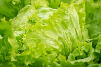 Из Тюмени в Казахстан отправили 4 тонны салата