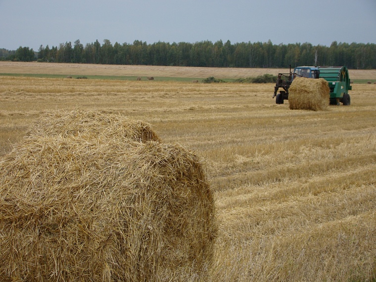 В наращивании экспорта продукции российским агропредприятиям поможет логистика