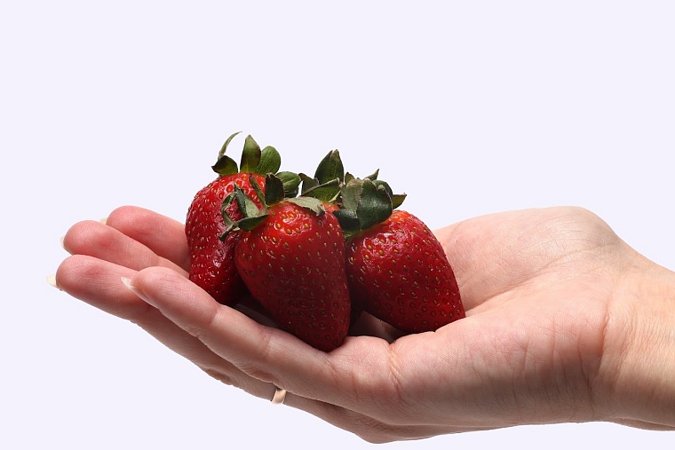 В Тюменской области будут выращивать клубнику