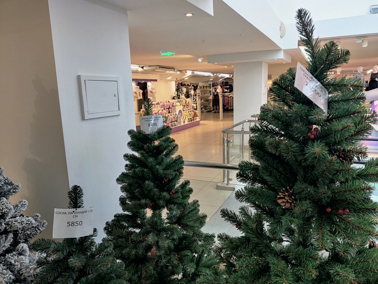 «Елки-2022». Где и почем в Тюмени искусственные символы Нового года