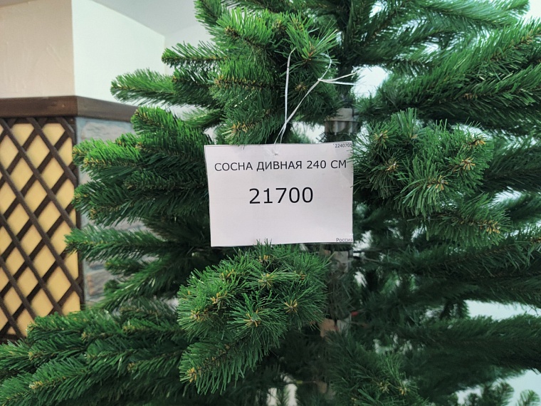 «Елки-2022». Где и почем в Тюмени искусственные символы Нового года