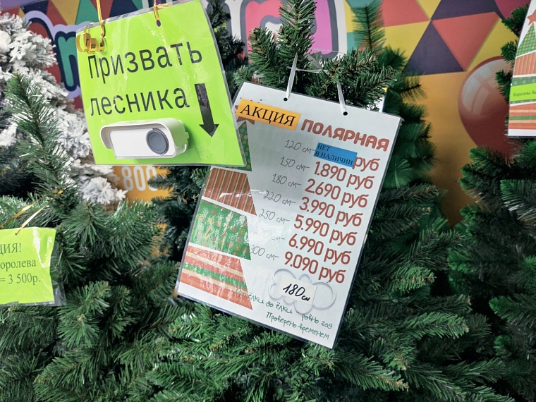 «Елки-2022». Где и почем в Тюмени искусственные символы Нового года