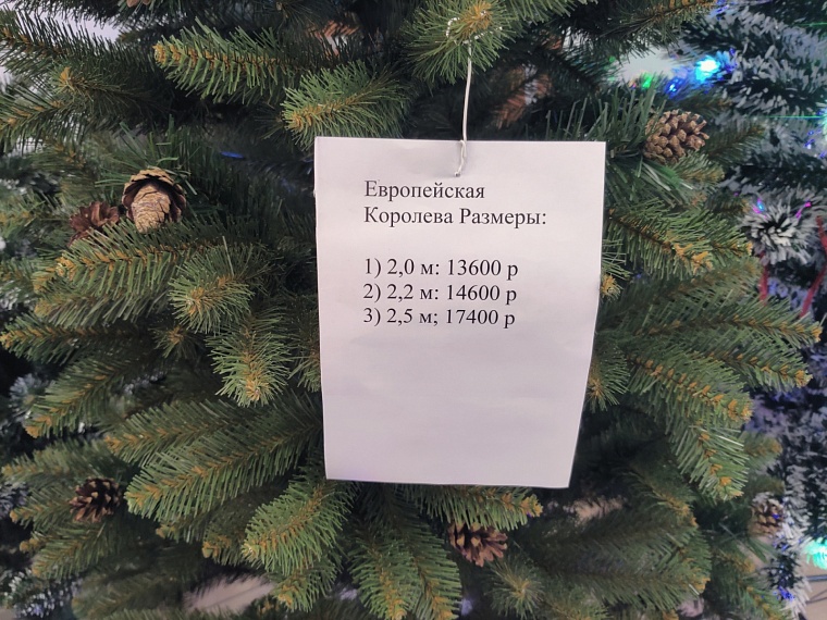 «Елки-2022». Где и почем в Тюмени искусственные символы Нового года
