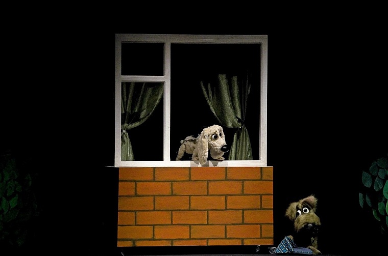 Афиша на уик-энд: музсходка на набережной, выставка собак и йога-девичник в лесу