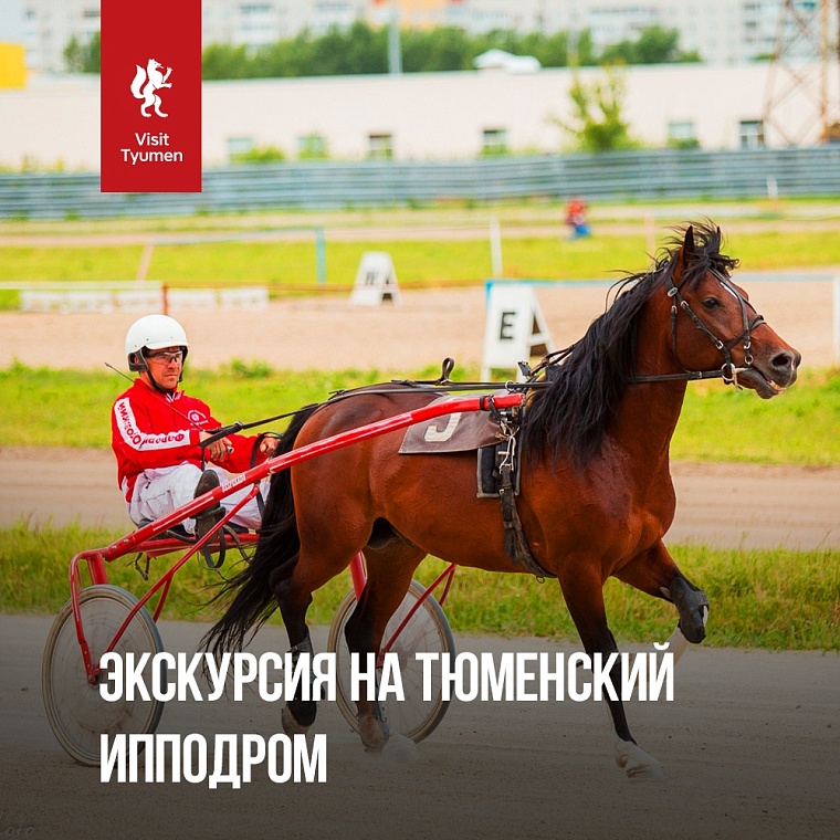 Афиша на уик-энд: музсходка на набережной, выставка собак и йога-девичник в лесу