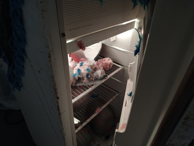 Попадаешь в мир грез: необычная выставка открылась в «Конторе пароходства»