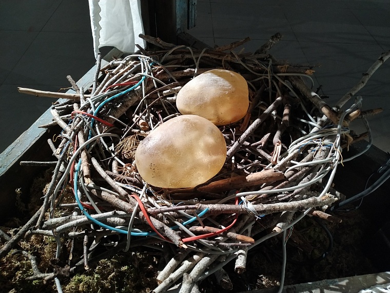 Попадаешь в мир грез: необычная выставка открылась в «Конторе пароходства»