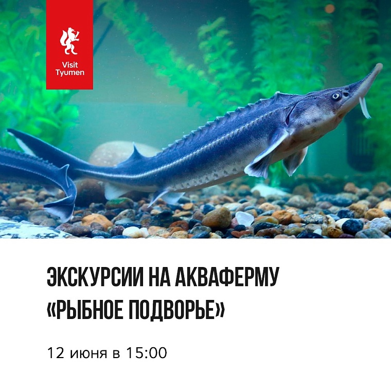 Афиша на длинный уик-энд: "Небо и Земля", велопарад и открытие кочевой галереи