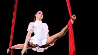 Тюменским циркачам-любителям могут разрешить репетиции на манеже цирка