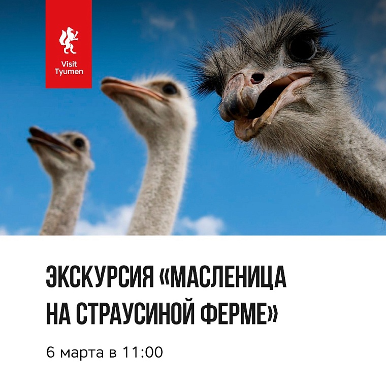 Афиша на уик-энд: широкая Масленица, женские портреты и концерт Чумакова