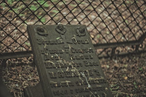 Книга-путеводитель по Текутьевскому кладбищу расскажет о дореволюционных надгробиях