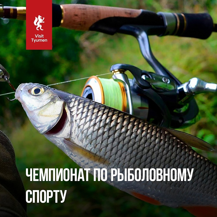 Афиша на уик-энд: авиашоу в Плеханово, песни под гитару и концерт звезд эстрады