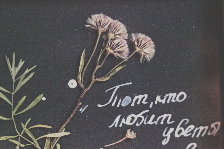 Афиша на уик-энд: День снега, вечеринка K-Pop и лекция про мультики